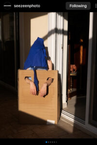 Project Absence with cockroach, expressing protection and rejection.